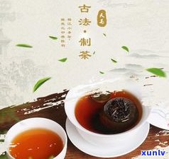 全面解析：普洱茶与伏茶的区别及其功效