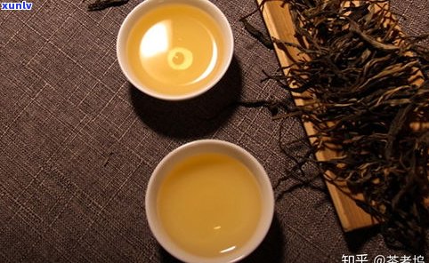 全面解析：普洱茶与伏茶的区别及其功效