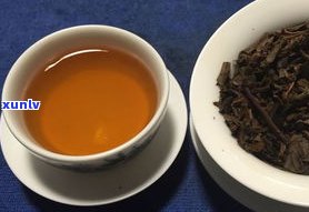 普洱茶，茶人与茶客的最后一站，最终的选择——易武茶