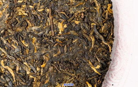 普洱茶，茶人与茶客的最后一站，最终的选择——易武茶