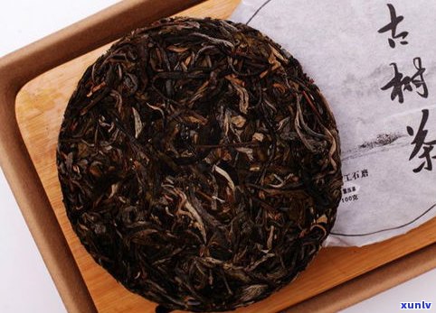 古树普洱生茶的特点、功效及其作用全面解析