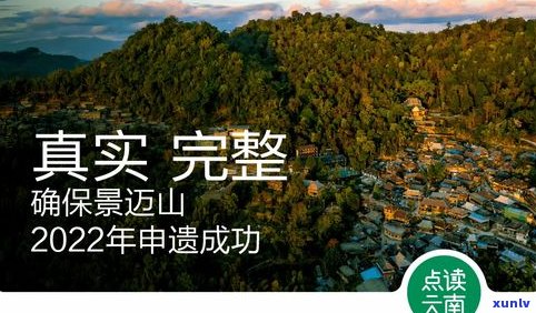 普洱市古茶山：26座古茶山分布全览及景区介绍