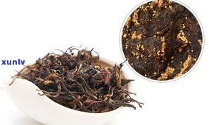 普洱茶中的口粮茶：定义、种类与选择