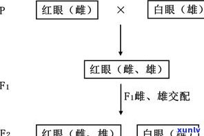 玉石的形成条件：全面解析其所需因素与原理