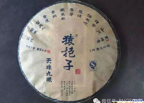 深入探索普洱茶老茶的魅力：认识、理解和心得体会