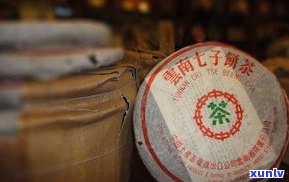 深入探索普洱茶老茶的魅力：认识、理解和心得体会