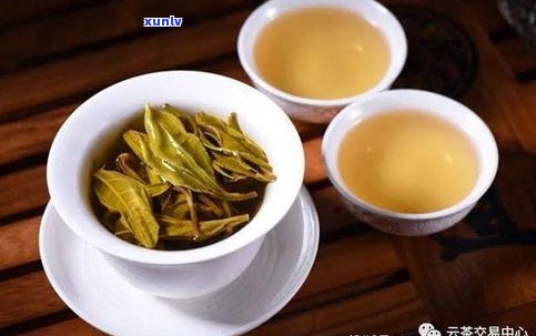 普洱茶与黑茶：有何异同？哪个更好？关系如何？