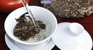 普洱茶与黑茶：有何异同？哪个更好？关系如何？