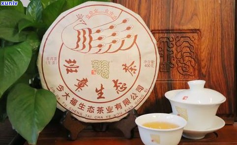 普洱茶初制茶视频教程全集：从原料到成品全过程详解