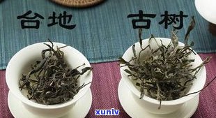 普洱台地茶：含义、与古树茶区别、是否适合饮用及收藏价值解析