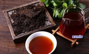 普洱茶的台地茶：定义、争议与种植历史