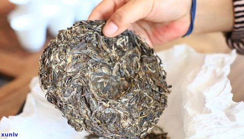 普洱茶炒茶的温度-普洱茶炒茶的温度一般是多少