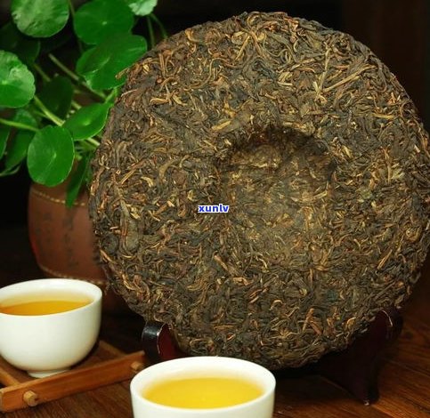 普洱茶大叶压缩茶：含义、特点与饮用 *** 全解析