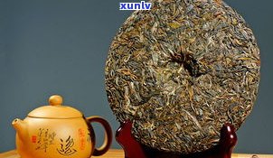 普洱茶减肥成功案例：真实分享与科学分析