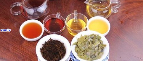 景迈古茶林普洱茶-普洱景迈山古茶林