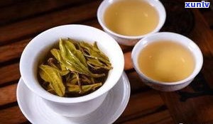 普洱茶生茶副作用-普洱茶生茶副作用有哪些