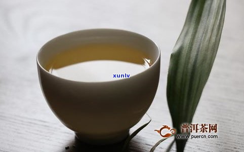 普洱茶干仓茶气味-普洱茶干仓茶气味怎么样