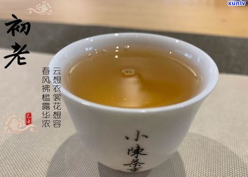 普洱茶干仓茶气味-普洱茶干仓茶气味怎么样