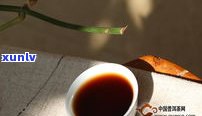 百茶堂普洱茶：产品介绍、评价及价格一览