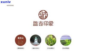 广州荼百珍茶业有限公司：荼百珍茶叶、茶百珍茶业、广州百茶汇贸易及茶百堂奶茶