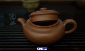 普洱茶球是什么茶种？如何冲泡普洱茶球？