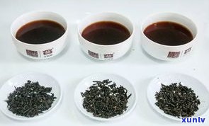 鉴别极品普洱熟茶：口感、特点与价格全解析