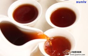 鉴别极品普洱熟茶：口感、特点与价格全解析