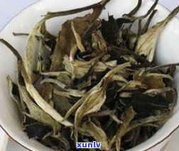 极品生普洱茶散茶-极品普洱生茶图片