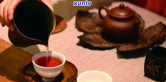 普洱茶可以焖茶吗？原因解析与饮用建议