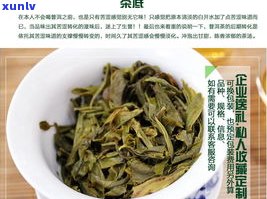 普洱茶生茶老字号-普洱生茶牌子