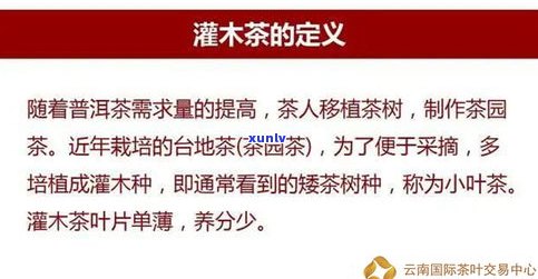 老树普洱：生普还是熟普？探讨其种类与优劣