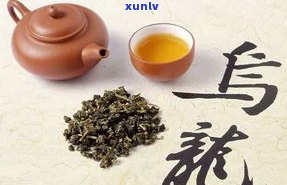 普洱茶与乌龙茶：口感对比与选择指南