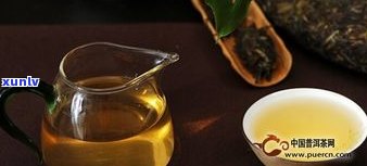 后发酵茶是普洱茶-后发酵茶是普洱茶吗