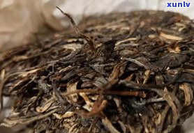 什么普洱茶降血压效果更好？探讨不同种类普洱茶的降压功效