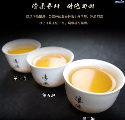 银竹茶厂：挑战与优势并存，揭秘其普洱茶价格与市场表现