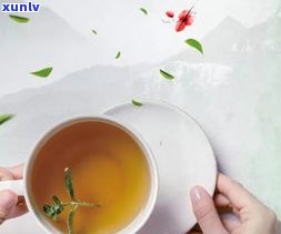 哪种茶叶更适合减脂：乌龙茶还是普洱茶？