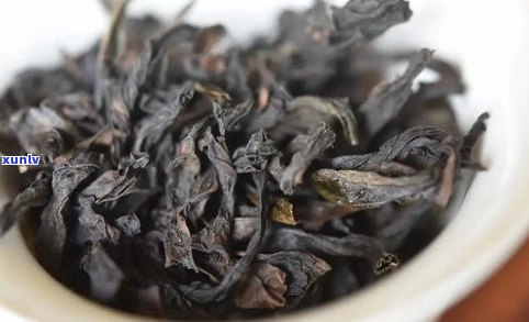 乌龙茶普洱茶哪个减腹部脂肪效果好？深度解析比较