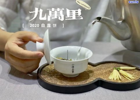 茶饼才是真普洱茶-茶饼才是真普洱茶吗