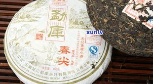 春韵普洱茶_生茶-春韵普洱茶生茶价格