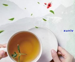 普洱茶乌龙茶瘦身有效果吗？详解功效、喝法及适用人群