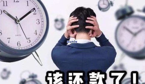 即有分期不还有事吗-即有分期不还会有什么结果