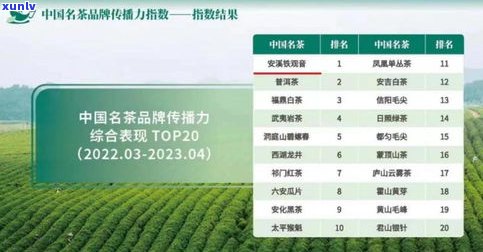 云南七子0432茶叶：品牌介绍、价格一览与官方购买渠道