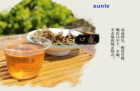 云南七子茶普洱茶-云南七子普洱茶怎么样