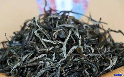 普洱茶古树茶奶奶-普洱茶古树茶奶奶能喝吗