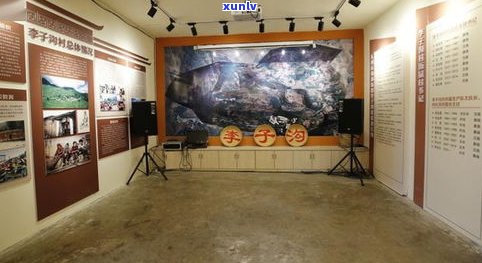 普洱茶饼展示：材质、挂墙与图片全解析