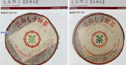 普洱茶饼编号7542及其含义与规则解析