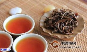 比较喝黑茶与普洱茶：功效与禁忌需考虑