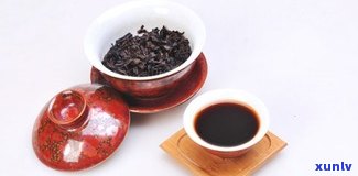 比较喝黑茶与普洱茶：功效与禁忌需考虑