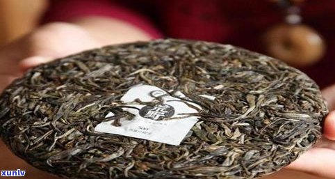 普洱生茶正常价格是多少？标准与贵贱如何判断？