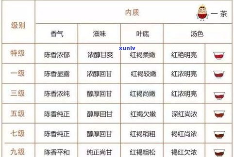 普洱茶印级：含义、等级划分与区别于号级的区别